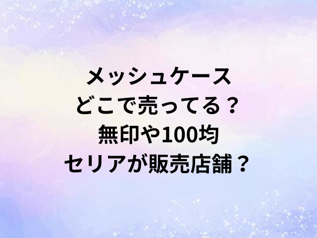 メッシュケースどこで売ってる？無印や100均・セリアが販売店舗？